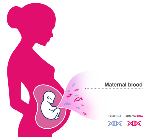dna fetale libero